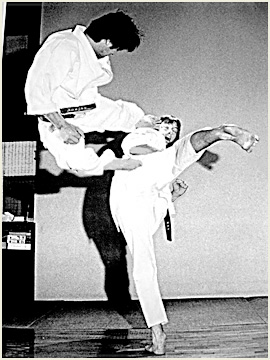 Iwakabe Sensei in action — demonstrating martial arts technique